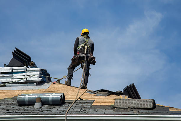 Professional Flat Roof Repair technician working in Defiance, IA